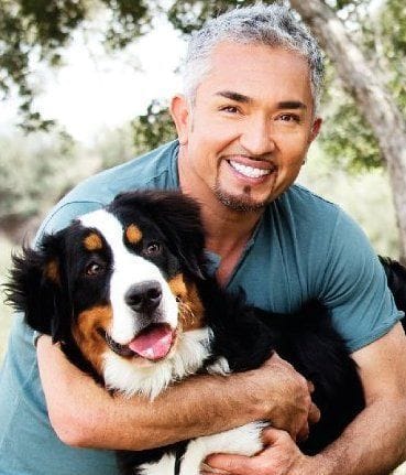 The Psychology Behind Pack Leadership: Does Cesar Millan’s Dominance Theory Still Hold Up?
