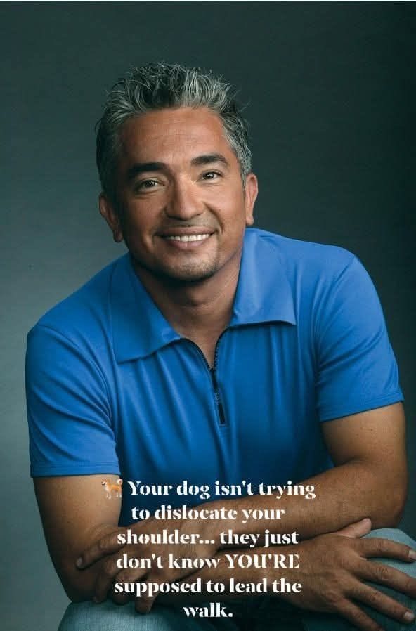 Cesar Millan’s Simple Technique for Calm, Controlled Walks