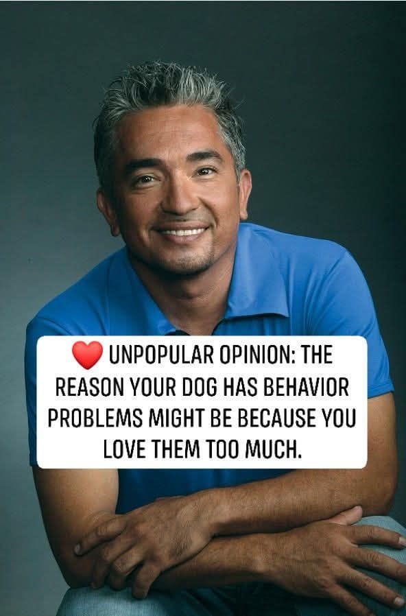 When Love Turns Into the Real Cause of Your Dog’s Behavior Problems