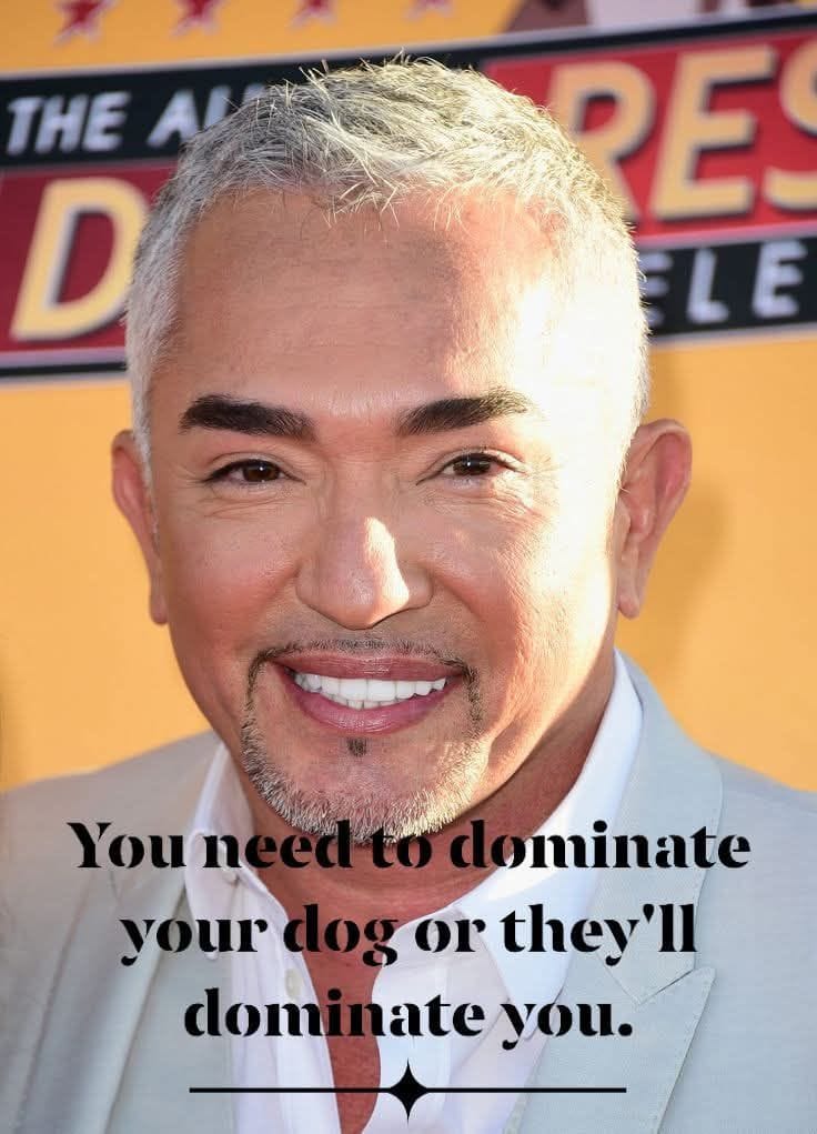 Cesar Millan Explains the Difference Between Discipline and Abuse
