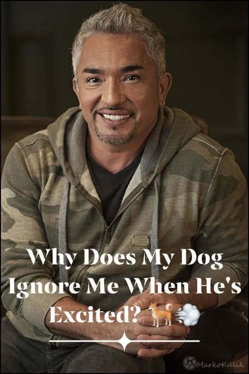 He Knows the Command… So Why Doesn’t He Obey?