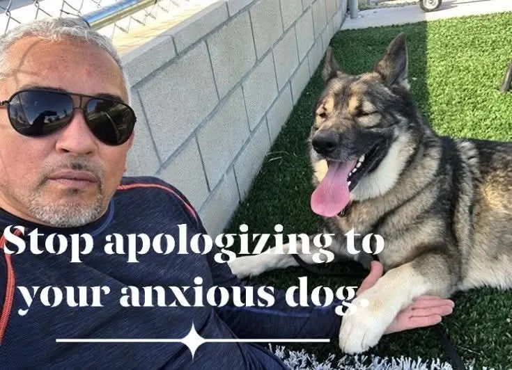 Your Dog Feels Your Emotions Before You Speak: How Your Energy Affects Your Dog’s Behavior