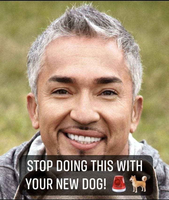 This One Mistake Creates Behavior Problems for Life