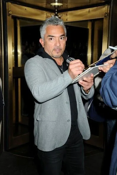 Why Your Dog Is Calm With You but Reactive With Others: Understanding Territorial and Protective Behavior